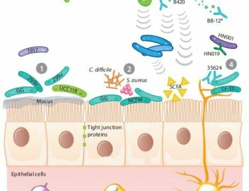 Probiotic Research and Clinical Benefits