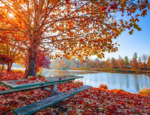 Maintaining your health this fall